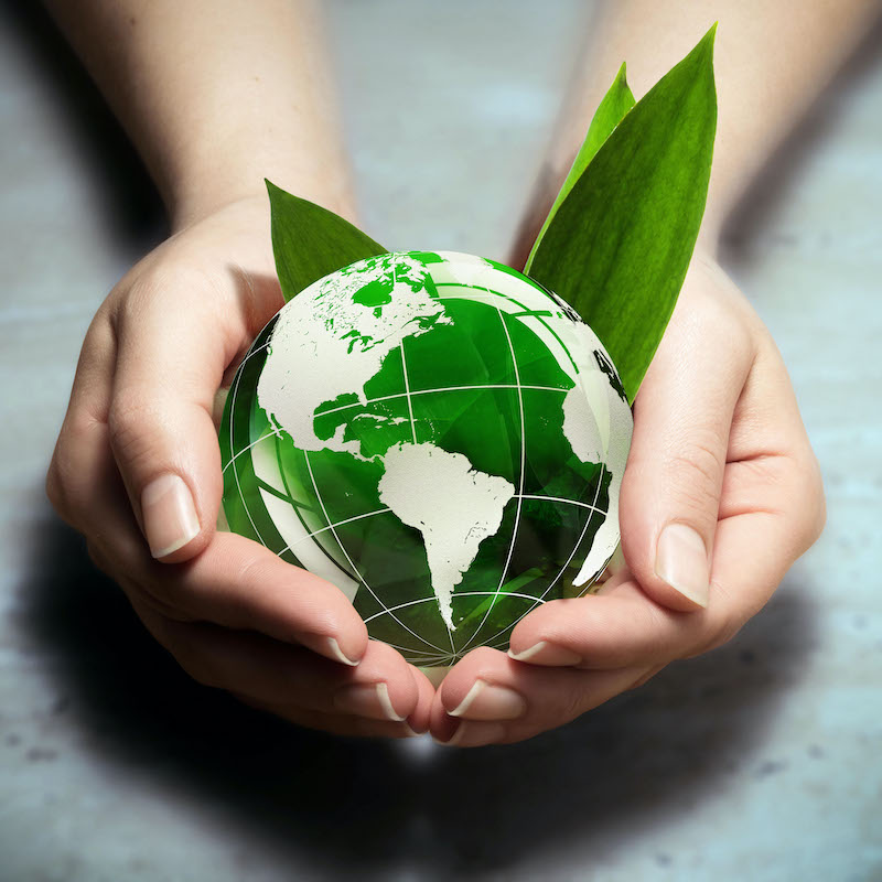 Educazione ambientale alla sostenibilità - ANNULLATO