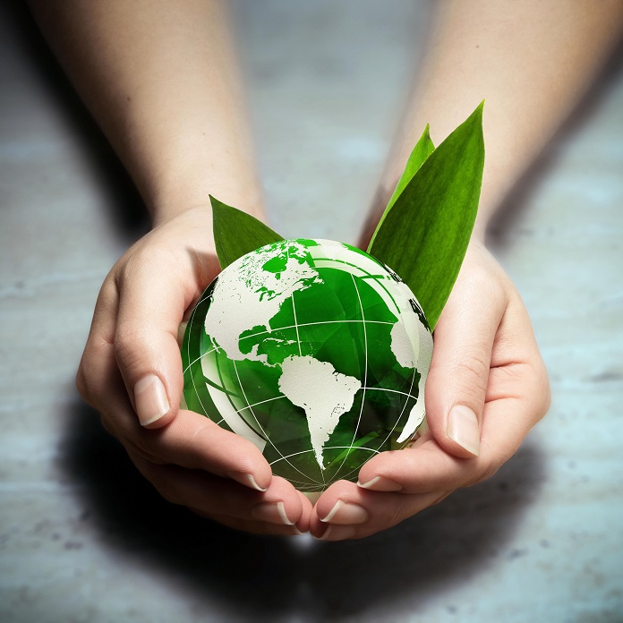 Educazione ambientale alla sostenibilità: attività teoriche e pratiche nella scuola