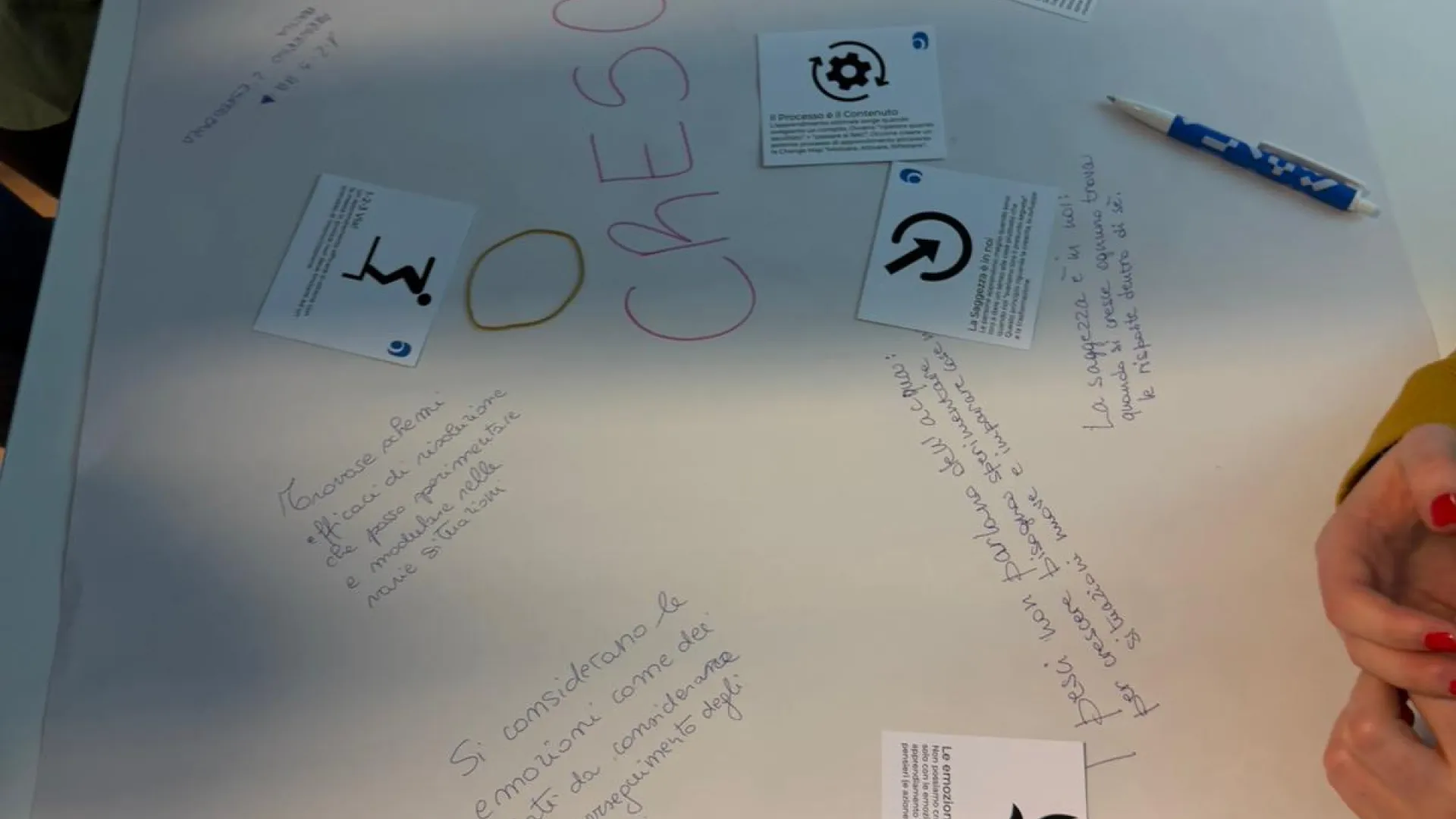 FaBER Attività Training