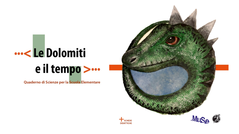 Immagine decorativa